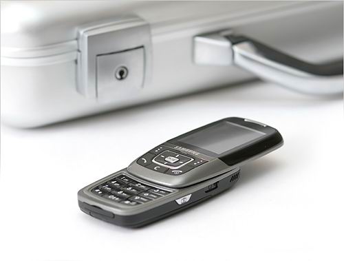 Samsung D600 � ������ ����������