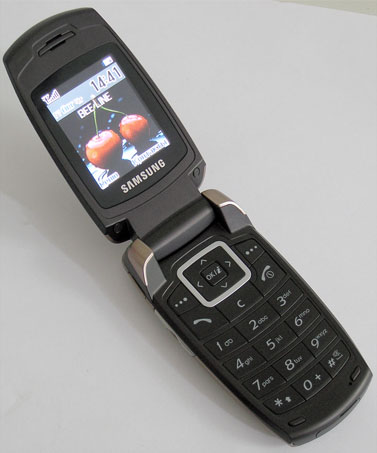 ��������� ������� Samsung SGH-X500: ��������� "�����������"
