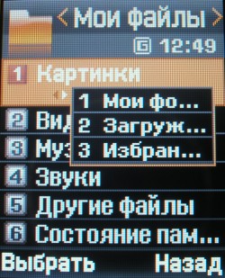 Samsung SGH-E250: �� ������ - �����