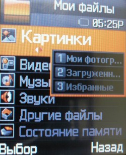 ��������� ������� Samsung E790: ��������� ����� "���������"