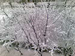 Nokia N81 8Gb. ������� ����.