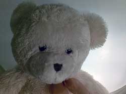 Nokia N81 8Gb. ������� ����.