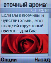 ���� Samsung SGH-E570