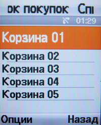 ���� Samsung SGH-E570