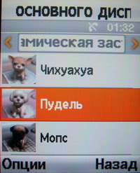 ���� Samsung SGH-E570