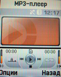 ���� Samsung SGH-E250