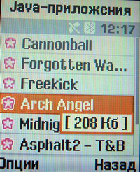 Java-���������� Samsung SGH-E250