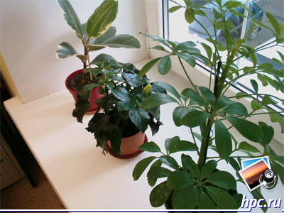 HTC TyTN II: ������ ���� (jpg, 2048x1536, 485,5 ��)