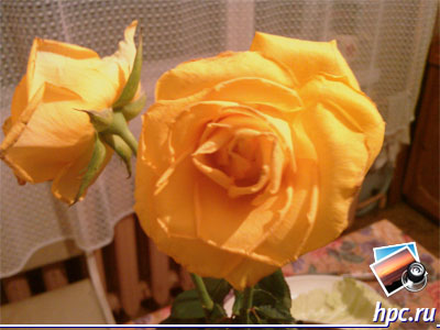 HTC TyTN II: ������ ���� (jpg, 2048x1536, 413,9 ��)