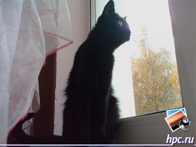 HTC TyTN II: ������ ���� (jpg, 2048x1536, 412,4 ��)