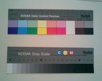 ������� ����