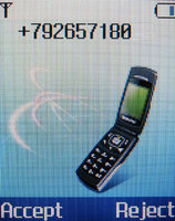    Samsung SGH-X210