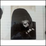 ���� ������������� Glofiish X600