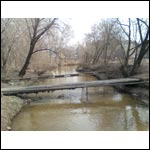 ���� ������������� Glofiish X600