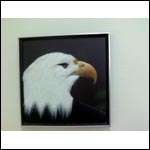 ���� ������������ ������ QWERTY-������������� Glofiish M800