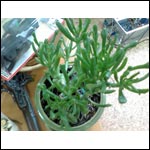 ���� ������������ ������ QWERTY-������������� Glofiish M800