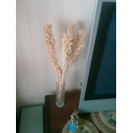 ���� ������������� HTC Touch Cruise