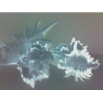 ���� ������������� Asus P750