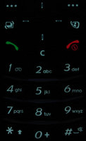   Samsung SGH-Z540