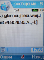   Samsung SGH-Z540