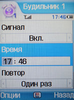   Samsung SGH-Z540
