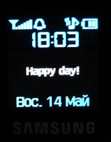   Samsung SGH-Z540
