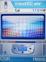   Samsung SGH-Z540