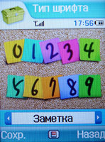   Samsung SGH-Z540