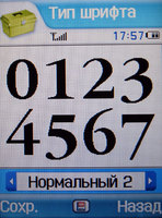   Samsung SGH-Z540