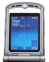 ���� �������� �������� Motorola V3 RAZR