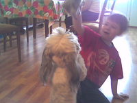 ������� ����