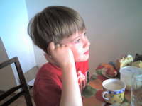 ���� Siemens M75