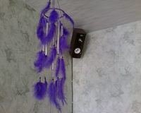 ������� ����