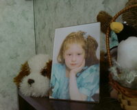 ������� ����