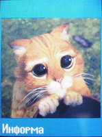 ���� Siemens M75