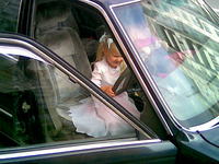 ���� �������� �������� Nokia 6101