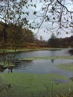 ������� ����������, ��������� ���������.