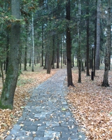 ������� ����������, ��������� ���������.