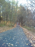 ������� ����������, ��������� ���������.