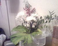 ���� �������� �������� Samsung SGH-D820: