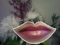 ���� �������� �������� Samsung SGH-D820: