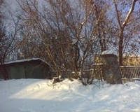 ����� �������� �������� Siemens S75