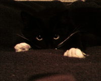 ����� �������� �������� Samsung SGH-E760