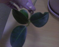 ����� �������� �������� Samsung SGH-E760