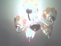 ����� �������� �������� Siemens C72