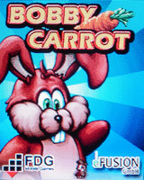 ����� �������� �������� Samsung SGH-D520