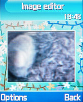 ����� �������� �������� Samsung SGH-D520