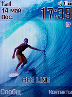 ������� ������� Samsung SGH-Z540