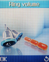 ����� �������� �������� Samsung SGH-X210