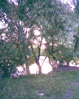 ������ ����